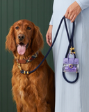 The Walkies Collection – Mini Luxe dog bag carrier