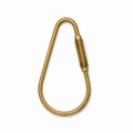 Hardware Clips